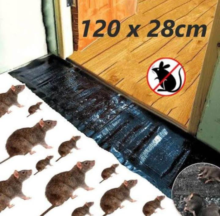 Extra-Large Rat Killer Glue Mat | Strong Mouse & Mice Trap Sheet | Sticky Insects Catcher | Cockroach & Snake Trap | Mouse Trap | Pest Control Glue Sheet | Rat Glue Mat | Mouse Killer Mat | Cockroach Killer | Non-Toxic Rat Trap Mouse Catcher