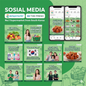 I will design professional social media posts, branding, and packaging