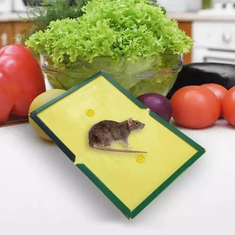 Mouse Glue Trap - Mouse Glue Board - Rat Killer Trap - Rat Killer Glue Book - Rat Killer Glue Mat Mouse