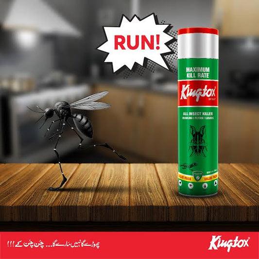 Kingtox All Insect Killer Spray 600ml