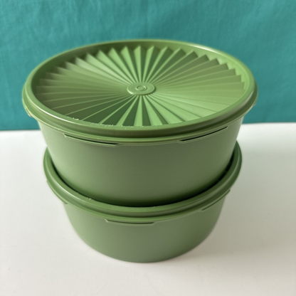 Classic Style Plastic Airtight Food Storage Bowls Set | Multi-Color Kitchen Organizer Containers with Sunburst Lids (Pack of 2)