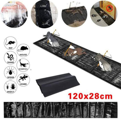 Extra-Large Rat Killer Glue Mat | Strong Mouse & Mice Trap Sheet | Sticky Insects Catcher | Cockroach & Snake Trap | Mouse Trap | Pest Control Glue Sheet | Rat Glue Mat | Mouse Killer Mat | Cockroach Killer | Non-Toxic Rat Trap Mouse Catcher
