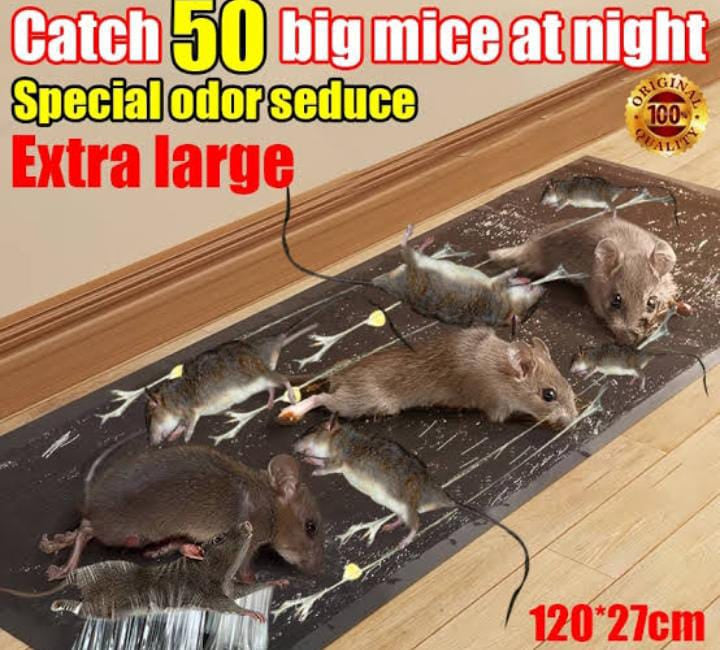 Extra-Large Rat Killer Glue Mat | Strong Mouse & Mice Trap Sheet | Sticky Insects Catcher | Cockroach & Snake Trap | Mouse Trap | Pest Control Glue Sheet | Rat Glue Mat | Mouse Killer Mat | Cockroach Killer | Non-Toxic Rat Trap Mouse Catcher