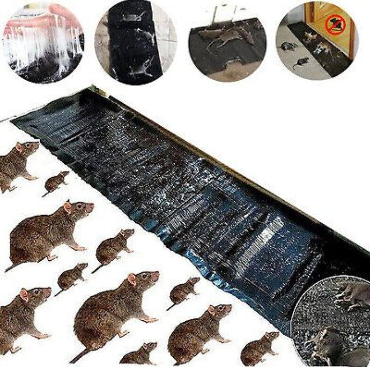 Extra-Large Rat Killer Glue Mat | Strong Mouse & Mice Trap Sheet | Sticky Insects Catcher | Cockroach & Snake Trap | Mouse Trap | Pest Control Glue Sheet | Rat Glue Mat | Mouse Killer Mat | Cockroach Killer | Non-Toxic Rat Trap Mouse Catcher